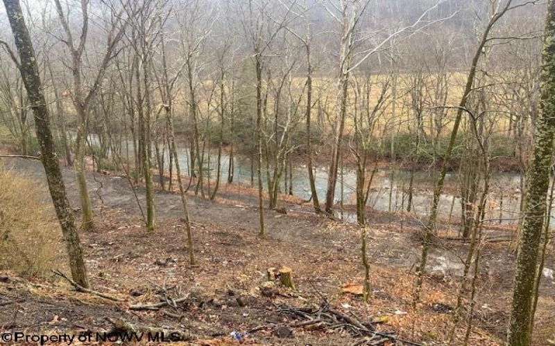 TBD Irontown Road, Independence, West Virginia 26374, ,Lots/land,For Sale,Irontown,10163121