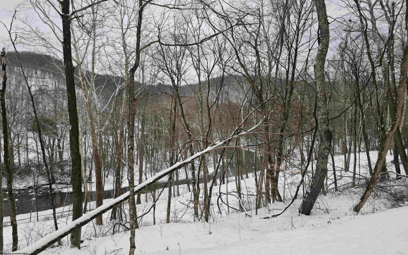 TBD Irontown Road, Independence, West Virginia 26374, ,Lots/land,For Sale,Irontown,10163121