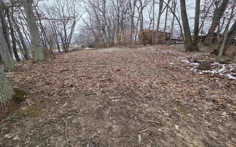 2 Fox Ridge Road, Elkins, West Virginia 26241, 4 Bedrooms Bedrooms, 7 Rooms Rooms,2 BathroomsBathrooms,Single Family Detached,For Sale,Fox Ridge,10163125