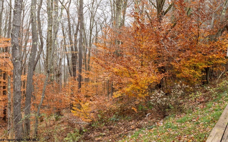 45 Wildflower Way, Davis, West Virginia 26260, 2 Bedrooms Bedrooms, 5 Rooms Rooms,1 BathroomBathrooms,Single Family Detached,For Sale,Wildflower,10158784