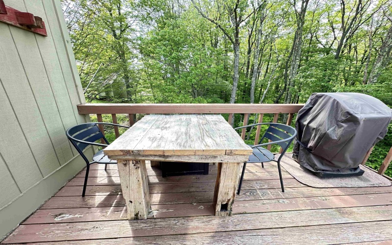 45 Wildflower Way, Davis, West Virginia 26260, 2 Bedrooms Bedrooms, 5 Rooms Rooms,1 BathroomBathrooms,Single Family Detached,For Sale,Wildflower,10158784