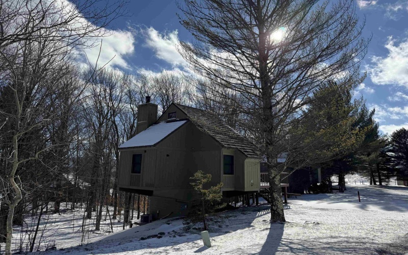 45 Wildflower Way, Davis, West Virginia 26260, 2 Bedrooms Bedrooms, 5 Rooms Rooms,1 BathroomBathrooms,Single Family Detached,For Sale,Wildflower,10158784