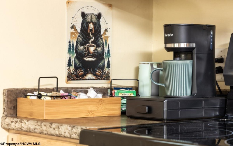 45 Wildflower Way, Davis, West Virginia 26260, 2 Bedrooms Bedrooms, 5 Rooms Rooms,1 BathroomBathrooms,Single Family Detached,For Sale,Wildflower,10158784