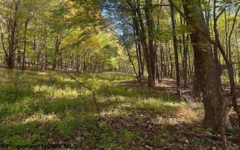 1690 Levels Road, Fairmont, West Virginia 26554, 3 Bedrooms Bedrooms, 5 Rooms Rooms,1 BathroomBathrooms,Single Family Detached,For Sale,Levels,10163149