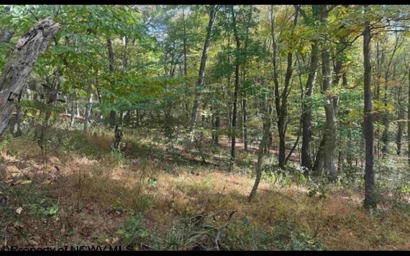 1690 Levels Road, Fairmont, West Virginia 26554, 3 Bedrooms Bedrooms, 5 Rooms Rooms,1 BathroomBathrooms,Single Family Detached,For Sale,Levels,10163149