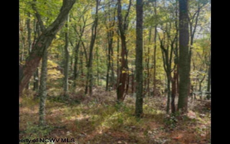 1690 Levels Road, Fairmont, West Virginia 26554, 3 Bedrooms Bedrooms, 5 Rooms Rooms,1 BathroomBathrooms,Single Family Detached,For Sale,Levels,10163149