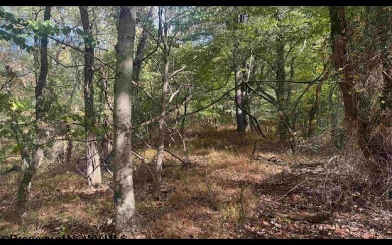 1690 Levels Road, Fairmont, West Virginia 26554, 3 Bedrooms Bedrooms, 5 Rooms Rooms,1 BathroomBathrooms,Single Family Detached,For Sale,Levels,10163149