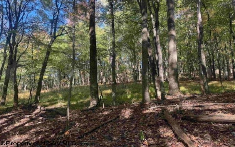 1690 Levels Road, Fairmont, West Virginia 26554, 3 Bedrooms Bedrooms, 5 Rooms Rooms,1 BathroomBathrooms,Single Family Detached,For Sale,Levels,10163149