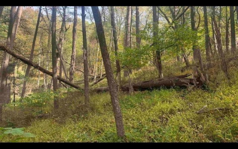 1690 Levels Road, Fairmont, West Virginia 26554, 3 Bedrooms Bedrooms, 5 Rooms Rooms,1 BathroomBathrooms,Single Family Detached,For Sale,Levels,10163149