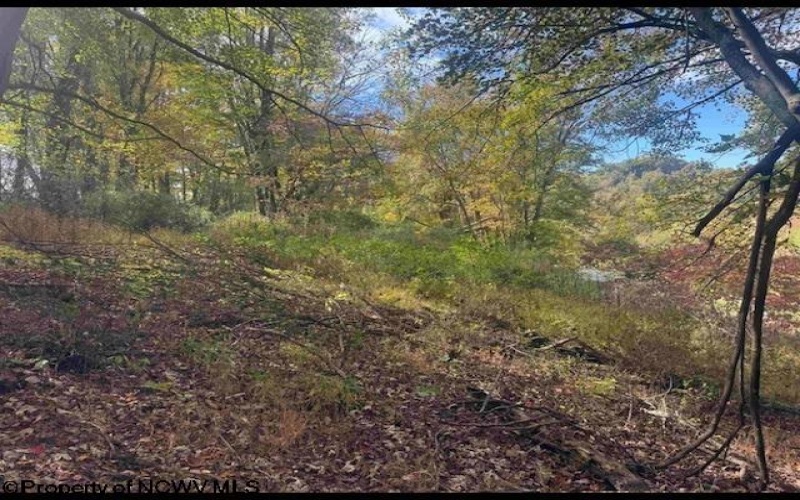 1690 Levels Road, Fairmont, West Virginia 26554, 3 Bedrooms Bedrooms, 5 Rooms Rooms,1 BathroomBathrooms,Single Family Detached,For Sale,Levels,10163149