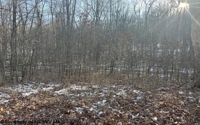 TBD Lakeside Drive, Montrose, West Virginia 26283, ,Lots/land,For Sale,Lakeside,10163148