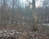 TBD Lakeside Drive, Montrose, West Virginia 26283, ,Lots/land,For Sale,Lakeside,10163148