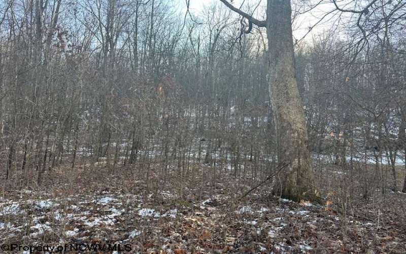 TBD Lakeside Drive, Montrose, West Virginia 26283, ,Lots/land,For Sale,Lakeside,10163148