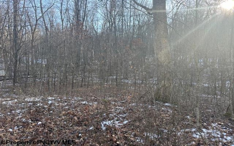 TBD Lakeside Drive, Montrose, West Virginia 26283, ,Lots/land,For Sale,Lakeside,10163148