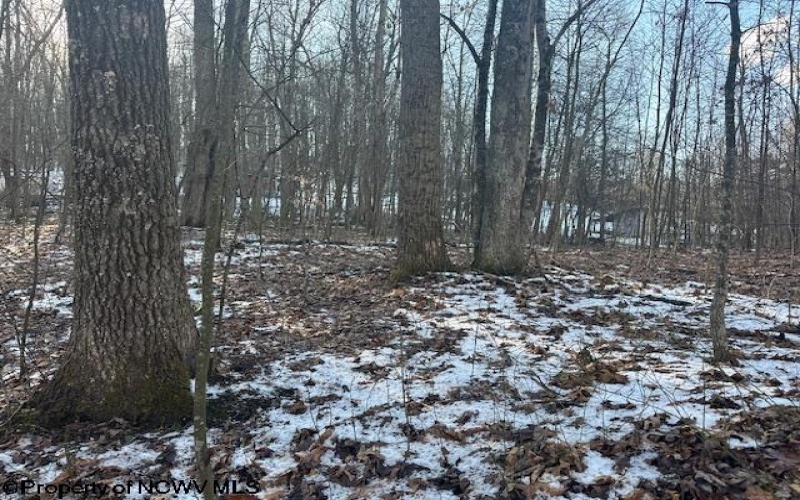 TBD Lakeside Drive, Montrose, West Virginia 26283, ,Lots/land,For Sale,Lakeside,10163148