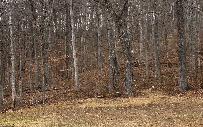 5055 Maxwell Ridge Road, West Union, West Virginia 26456, 2 Bedrooms Bedrooms, 7 Rooms Rooms,2 BathroomsBathrooms,Single Family Detached,For Sale,Maxwell Ridge,10163140