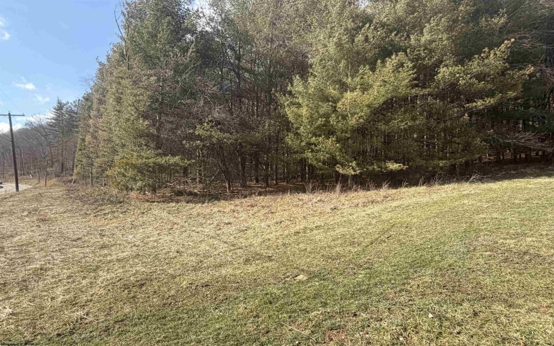6500 Seneca Trail, Mill Creek, West Virginia 26280, ,Lots/land,For Sale,Seneca,10163150 6500 Seneca Trail, Mill Creek, West Virginia 26280, ,Lots/land,For Sale,Seneca,10163150