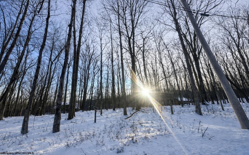 TBD Hemlock Circle, Terra Alta, West Virginia 26764, ,Lots/land,For Sale,Hemlock,10163151 TBD Hemlock Circle, Terra Alta, West Virginia 26764, ,Lots/land,For Sale,Hemlock,10163151