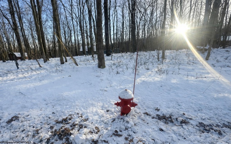 TBD Hemlock Circle, Terra Alta, West Virginia 26764, ,Lots/land,For Sale,Hemlock,10163151 TBD Hemlock Circle, Terra Alta, West Virginia 26764, ,Lots/land,For Sale,Hemlock,10163151