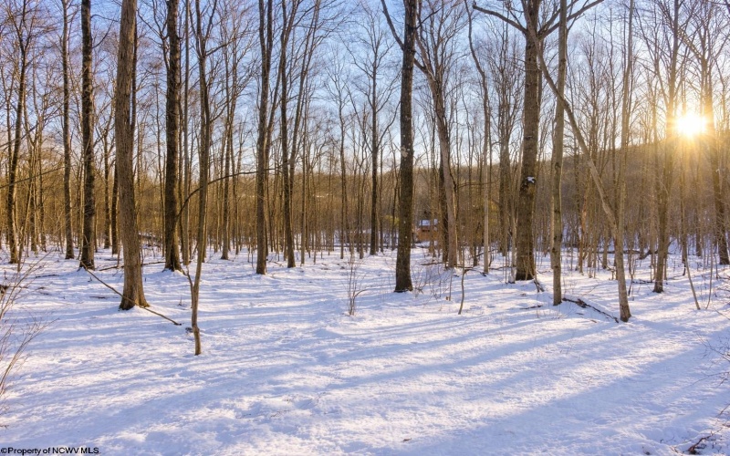 TBD Ash Court, Terra Alta, West Virginia 26764, ,Lots/land,For Sale,Ash,10163152 TBD Ash Court, Terra Alta, West Virginia 26764, ,Lots/land,For Sale,Ash,10163152