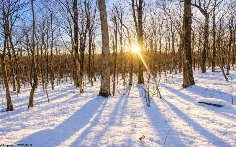 TBD Ash Court, Terra Alta, West Virginia 26764, ,Lots/land,For Sale,Ash,10163152 TBD Ash Court, Terra Alta, West Virginia 26764, ,Lots/land,For Sale,Ash,10163152