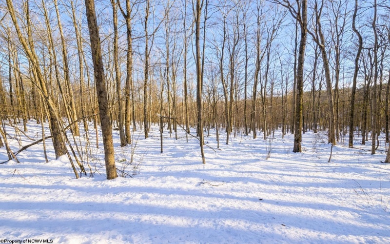 TBD Ash Court, Terra Alta, West Virginia 26764, ,Lots/land,For Sale,Ash,10163152 TBD Ash Court, Terra Alta, West Virginia 26764, ,Lots/land,For Sale,Ash,10163152