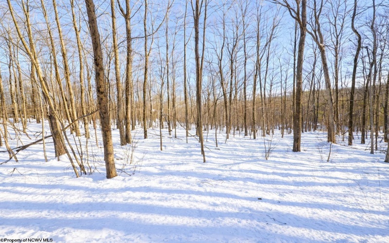 TBD Ash Court, Terra Alta, West Virginia 26764, ,Lots/land,For Sale,Ash,10163152 TBD Ash Court, Terra Alta, West Virginia 26764, ,Lots/land,For Sale,Ash,10163152