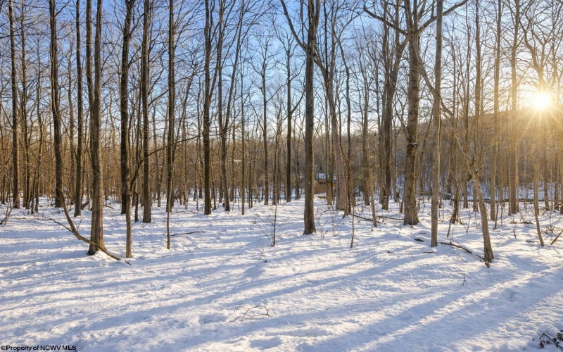 TBD Ash Court, Terra Alta, West Virginia 26764, ,Lots/land,For Sale,Ash,10163152 TBD Ash Court, Terra Alta, West Virginia 26764, ,Lots/land,For Sale,Ash,10163152