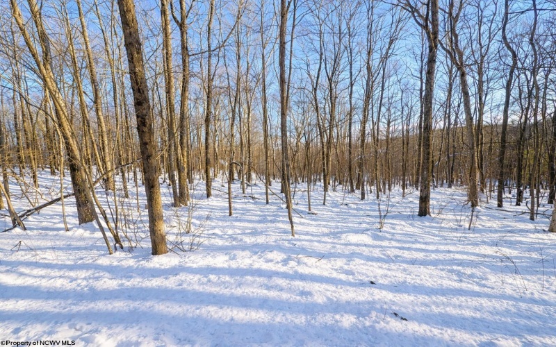 TBD Ash Court, Terra Alta, West Virginia 26764, ,Lots/land,For Sale,Ash,10163152 TBD Ash Court, Terra Alta, West Virginia 26764, ,Lots/land,For Sale,Ash,10163152