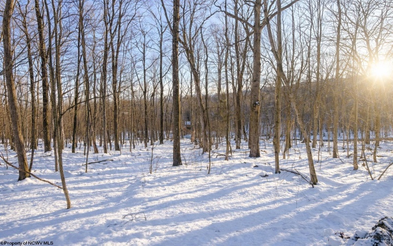 TBD Ash Court, Terra Alta, West Virginia 26764, ,Lots/land,For Sale,Ash,10163152 TBD Ash Court, Terra Alta, West Virginia 26764, ,Lots/land,For Sale,Ash,10163152