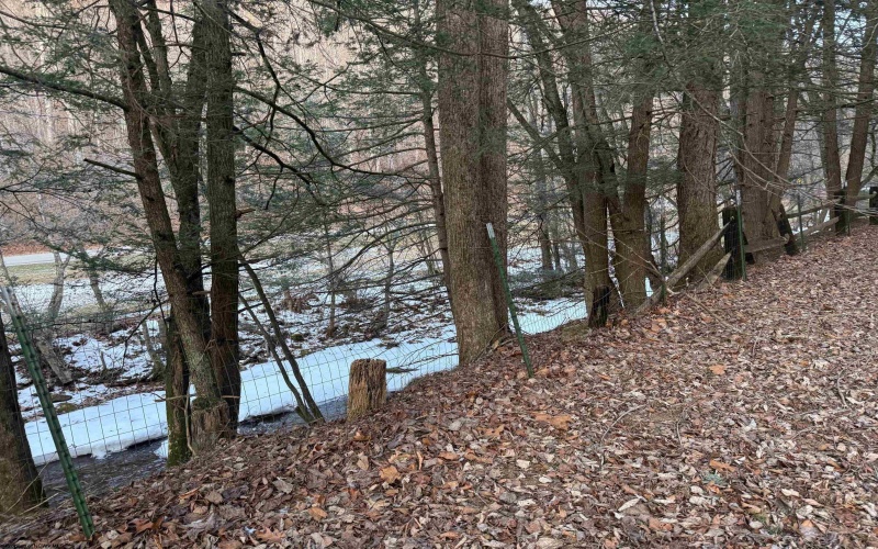 3822 Chenoweth Creek Road, Elkins, West Virginia 26241, 4 Bedrooms Bedrooms, 7 Rooms Rooms,2 BathroomsBathrooms,Single Family Detached,For Sale,Chenoweth Creek,10163156