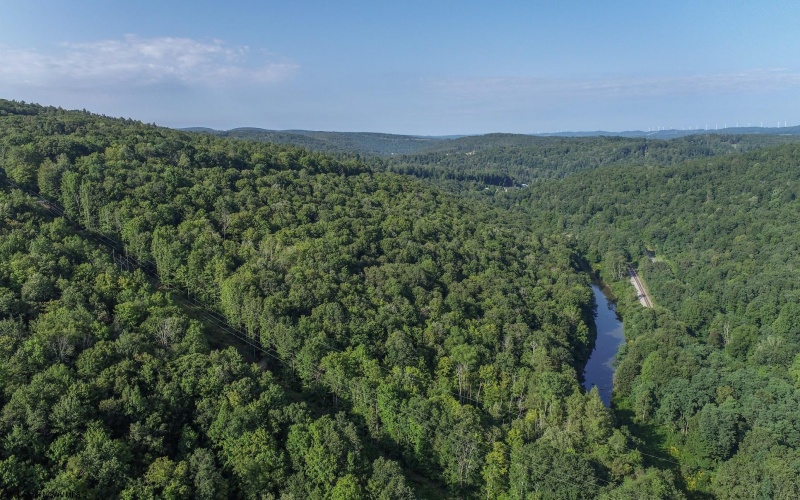 TBD Rte. 50 Highway, Gormania, West Virginia 26720, ,Lots/land,For Sale,Rte. 50,10163154 TBD Rte. 50 Highway, Gormania, West Virginia 26720, ,Lots/land,For Sale,Rte. 50,10163154