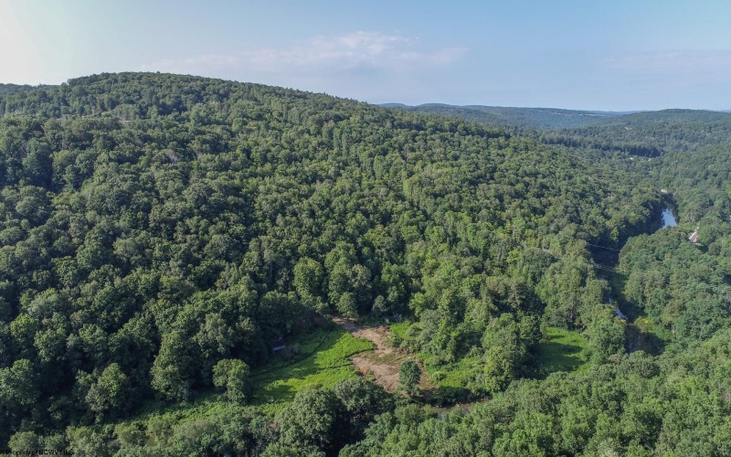 TBD Rte. 50 Highway, Gormania, West Virginia 26720, ,Lots/land,For Sale,Rte. 50,10163154 TBD Rte. 50 Highway, Gormania, West Virginia 26720, ,Lots/land,For Sale,Rte. 50,10163154