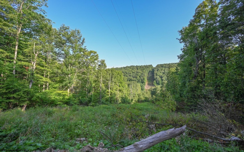 TBD Rte. 50 Highway, Gormania, West Virginia 26720, ,Lots/land,For Sale,Rte. 50,10163154 TBD Rte. 50 Highway, Gormania, West Virginia 26720, ,Lots/land,For Sale,Rte. 50,10163154