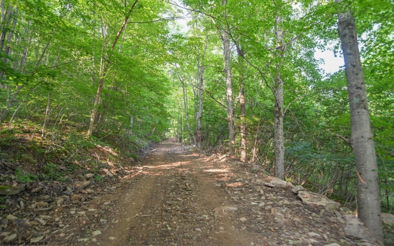 TBD Rte. 50 Highway, Gormania, West Virginia 26720, ,Lots/land,For Sale,Rte. 50,10163154 TBD Rte. 50 Highway, Gormania, West Virginia 26720, ,Lots/land,For Sale,Rte. 50,10163154