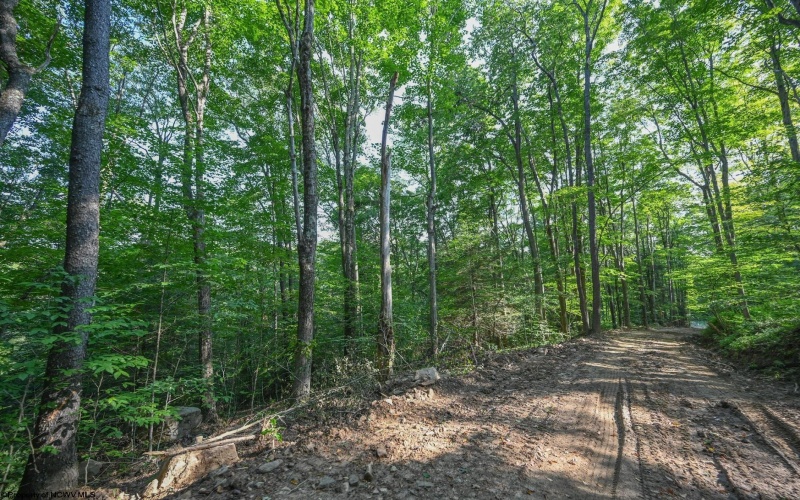 TBD Rte. 50 Highway, Gormania, West Virginia 26720, ,Lots/land,For Sale,Rte. 50,10163154 TBD Rte. 50 Highway, Gormania, West Virginia 26720, ,Lots/land,For Sale,Rte. 50,10163154