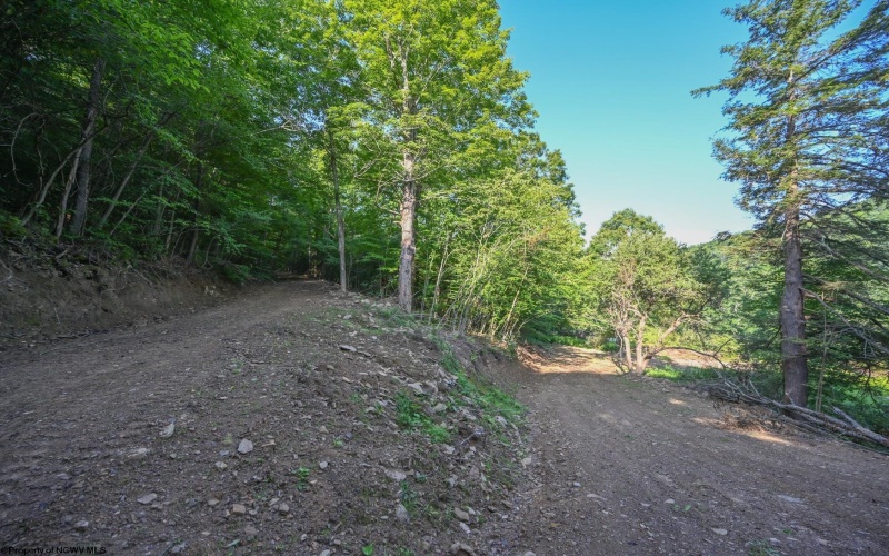 TBD Rte. 50 Highway, Gormania, West Virginia 26720, ,Lots/land,For Sale,Rte. 50,10163154 TBD Rte. 50 Highway, Gormania, West Virginia 26720, ,Lots/land,For Sale,Rte. 50,10163154