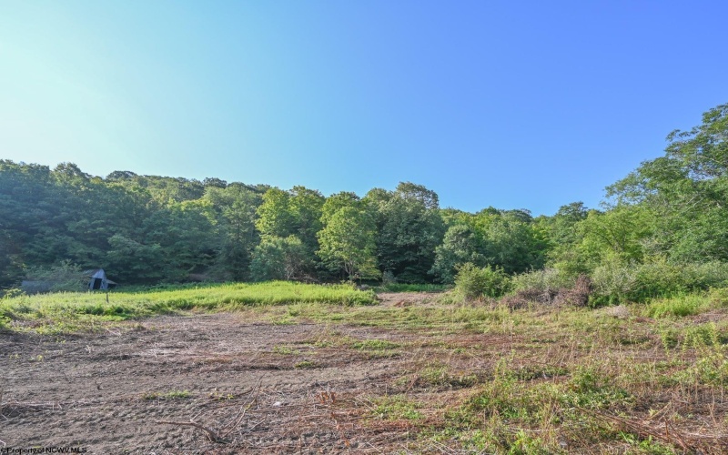 TBD Rte. 50 Highway, Gormania, West Virginia 26720, ,Lots/land,For Sale,Rte. 50,10163154 TBD Rte. 50 Highway, Gormania, West Virginia 26720, ,Lots/land,For Sale,Rte. 50,10163154