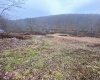 TBD Rte. 50 Highway, Gormania, West Virginia 26720, ,Lots/land,For Sale,Rte. 50,10163154 TBD Rte. 50 Highway, Gormania, West Virginia 26720, ,Lots/land,For Sale,Rte. 50,10163154