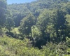 TBD Rte. 50 Highway, Gormania, West Virginia 26720, ,Lots/land,For Sale,Rte. 50,10163154 TBD Rte. 50 Highway, Gormania, West Virginia 26720, ,Lots/land,For Sale,Rte. 50,10163154