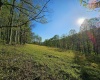 TRACT 3 ISNER Run, Elkins, West Virginia 26241, ,Lots/land,For Sale,ISNER,10163170