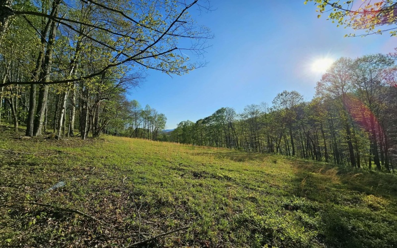 TRACT 3 ISNER Run, Elkins, West Virginia 26241, ,Lots/land,For Sale,ISNER,10163170