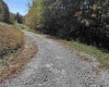 TRACT 3 ISNER Run, Elkins, West Virginia 26241, ,Lots/land,For Sale,ISNER,10163170