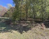 TRACT 3 ISNER Run, Elkins, West Virginia 26241, ,Lots/land,For Sale,ISNER,10163170