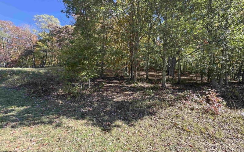 TRACT 3 ISNER Run, Elkins, West Virginia 26241, ,Lots/land,For Sale,ISNER,10163170