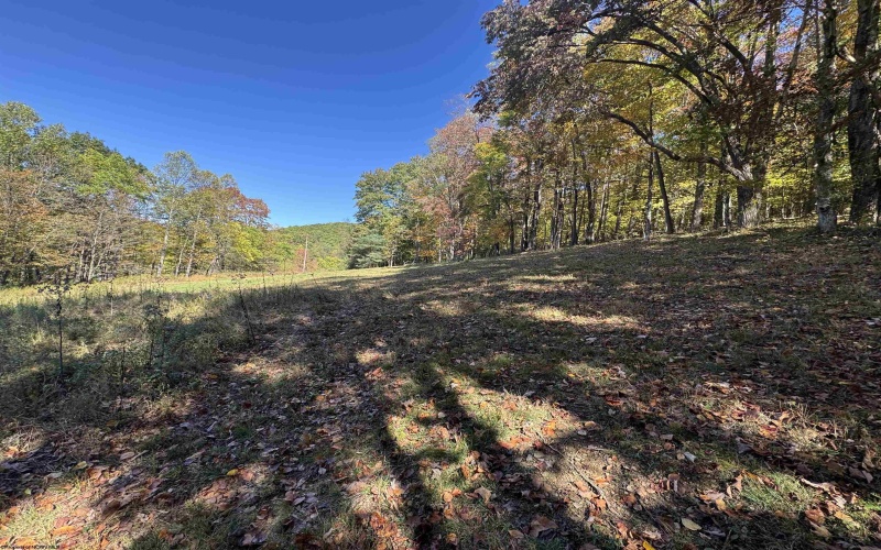 TRACT 3 ISNER Run, Elkins, West Virginia 26241, ,Lots/land,For Sale,ISNER,10163170