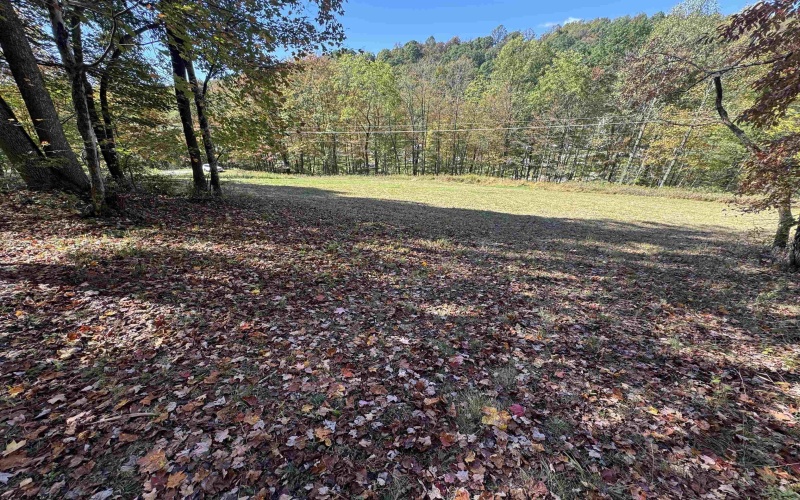 TRACT 3 ISNER Run, Elkins, West Virginia 26241, ,Lots/land,For Sale,ISNER,10163170