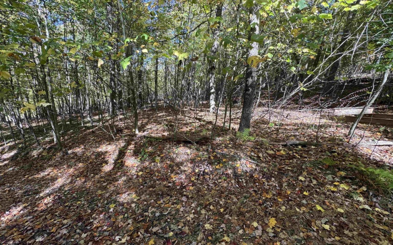 TRACT 3 ISNER Run, Elkins, West Virginia 26241, ,Lots/land,For Sale,ISNER,10163170