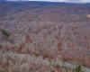 TBD Wirsing Wiley Road, Bruceton Mills, West Virginia 26525, ,Lots/land,For Sale,Wirsing Wiley,10163180