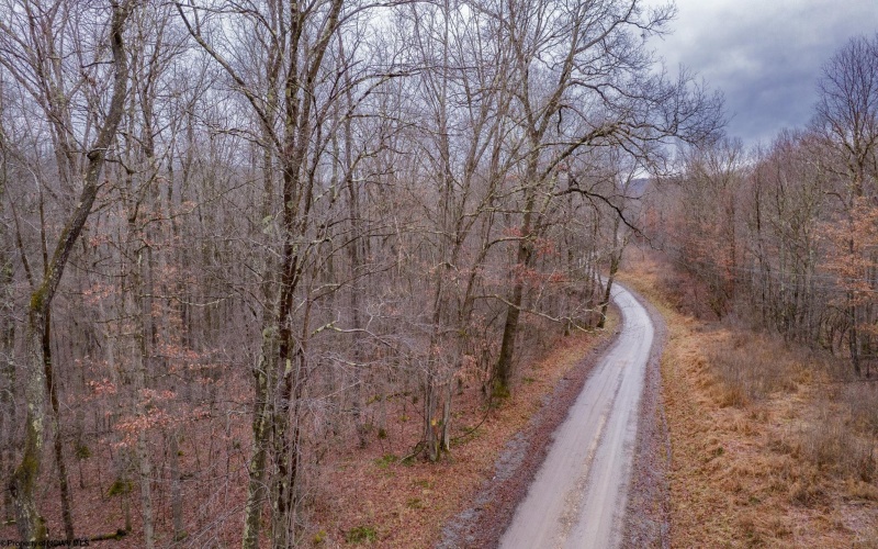 TBD Wirsing Wiley Road, Bruceton Mills, West Virginia 26525, ,Lots/land,For Sale,Wirsing Wiley,10163180